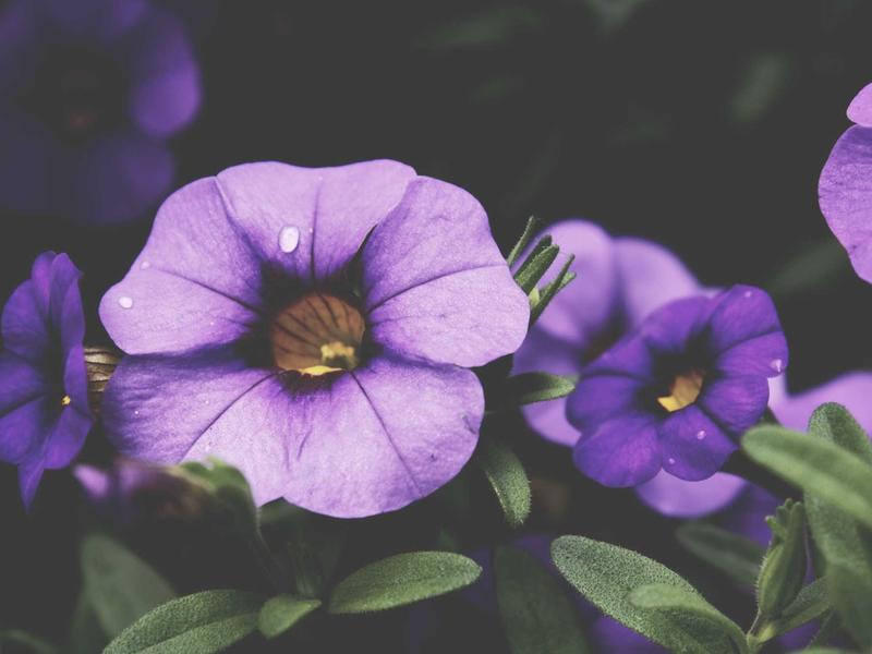 sudoku keyboard shortcuts